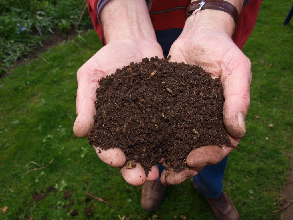 Compost- from waste to gold