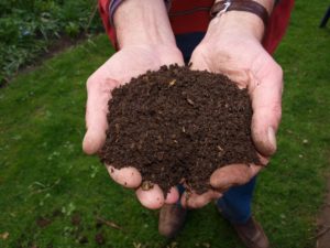 Compost- from rubbish to gold!