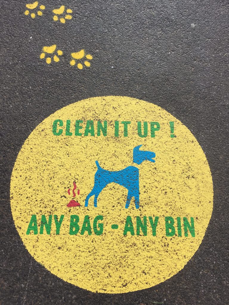 Clean up after your dog