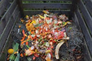 Compost bin