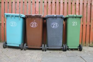 Bins for food waste and recycling